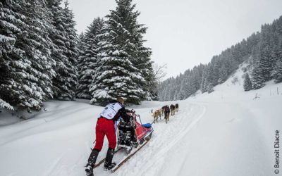 l’entraînement