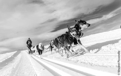 les Courses longues distances