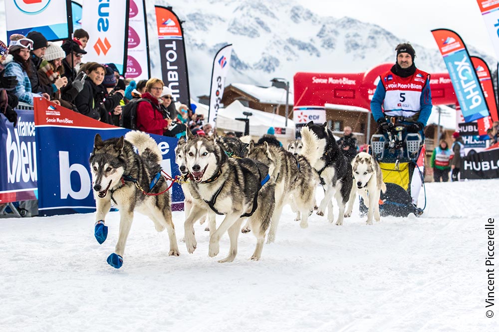 La Grande Odyssée Savoie Mont Blanc is coming back in 4 months!