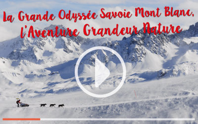 Le Film L’ Aventure Grandeur Nature disponible gratuitement !