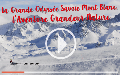 Le Film L’ Aventure Grandeur Nature disponible gratuitement !
