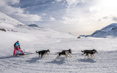 Spend a unique moment at La Grande Odyssée Savoie Mont Blanc 2021