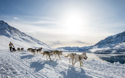 La Grande Odyssée Savoie Mont Blanc 2021 débute très prochainement !
