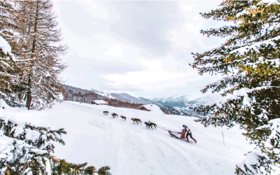 J-3 avant le départ de La 17ième édition de La Grande Odyssée Savoie Mont Blanc.
