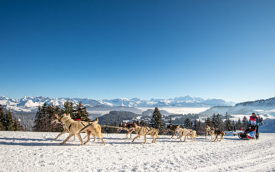 A resort : Praz de Lys Sommand