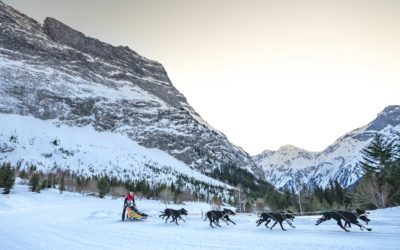 Étape 4 – Megève présentée par Tractive