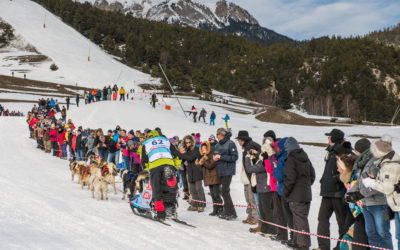 Les infos clés : Etape 4