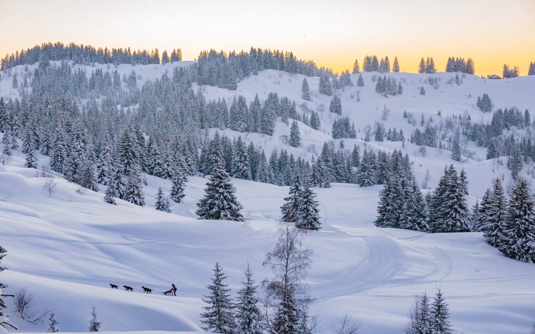 3 DÉPARTEMENTS POUR TRAVERSER LA RÉGION AUVERGNE-RHÔNE-ALPES