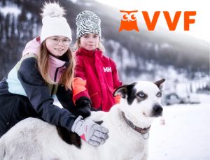 https://www.vvf.fr/