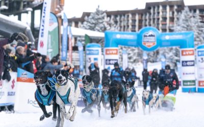 Rémy Coste remporte la 19e édition de La Grande Odyssée VVF