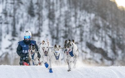 Etape 5 – Les Karellis présentée par Flexadin Advanced