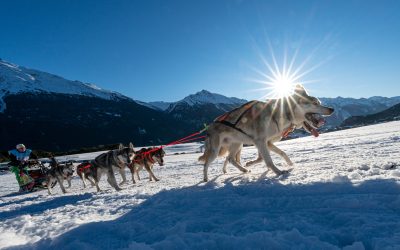 INFOS CLÉS – Étape 6 : Bonneval-sur-Arc présentée par ZOLUX et challenge d’Aussois