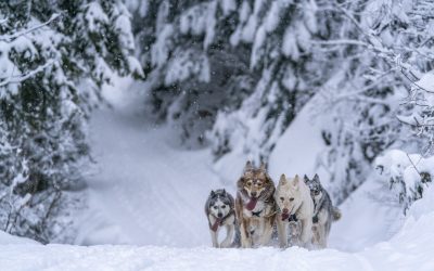 INFOS CLÉS – Étape 8 : Pralognan-la-Vanoise présentée par Aésio Mutuelle