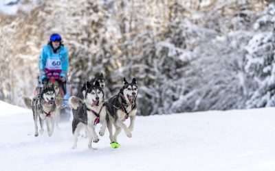 INFOS CLÉS – Étape 2 : Pays d’Evian Vallée d’Abondance Bernex – La Chapelle – Châtel présentée par TOMOJO