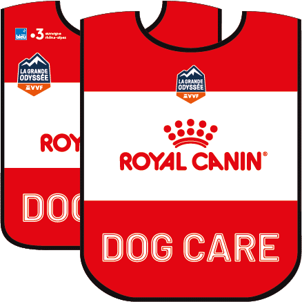 dogcare Visuel site web