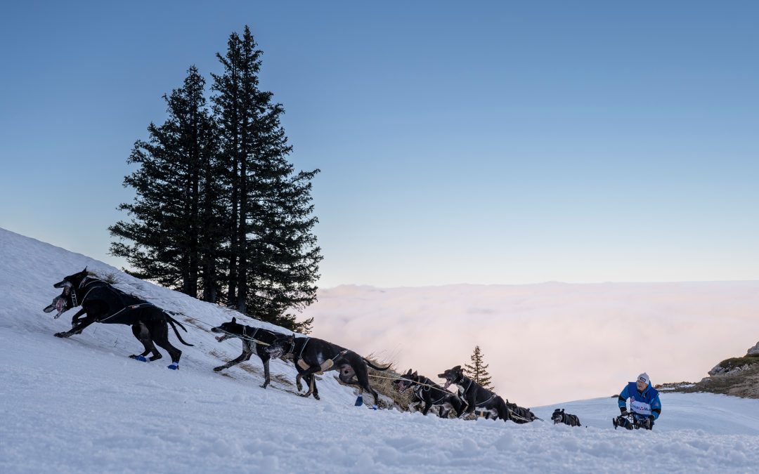 Étape 11 – Villard de Lans présentée par Flexadin Advanced